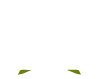 Разработка сайта для Tablet