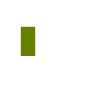PageSpeed Insights