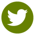 Twitter Card